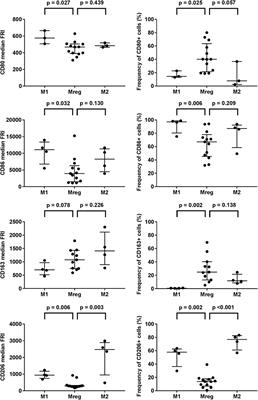 Mesenchymal Stromal Cells and Their Extracellular Vesicles Enhance the Anti-Inflammatory Phenotype of Regulatory Macrophages by Downregulating the Production of Interleukin (IL)-23 and IL-22